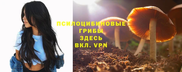 не бодяженный Лабытнанги