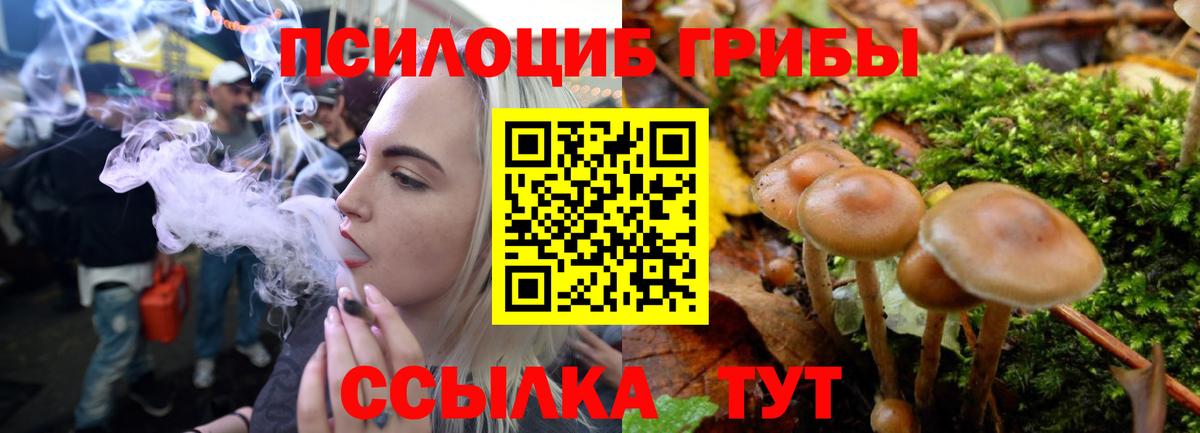 Галлюциногенные грибы прущие грибы Йошкар-Ола