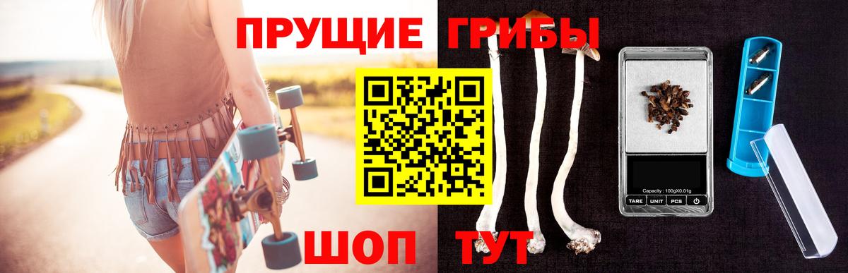 Псилоцибиновые грибы Psilocybe Йошкар-Ола